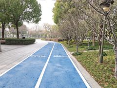 -南翔镇银翔湖公园