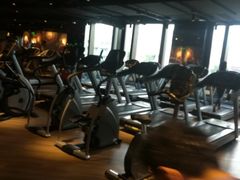 -威尔仕健身会所(古北1699店)