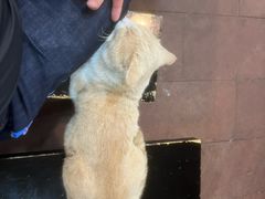 -储奇门鳝鱼火锅(总店)