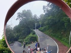 -火炉山森林公园