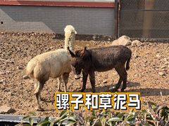 -无锡动物园·太湖欢乐园