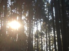 -井冈山风景名胜区-黄洋界