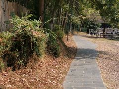 -象山森林公园