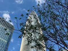 -深圳湾万象城(南山店)