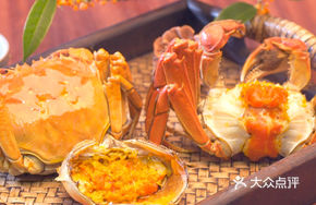 Freshwater Crab 588