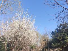 -东升文体公园