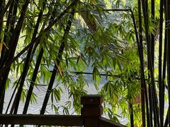 -花溪公园