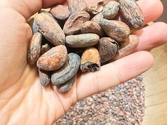 -歌斐颂巧克力小镇