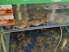 -阳澄湖大闸蟹·琼灵阁牌品牌连锁(吴中总店)