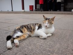 -西园戒幢律寺