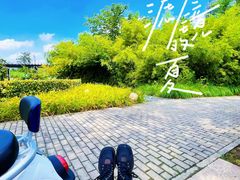 -郑东新区湿地公园
