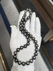 -GiO挚澳珠宝(侨福芳草地店)