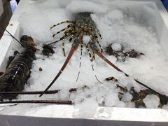 -渔人湾码头海鲜市场负二楼