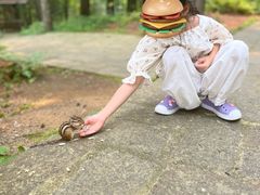 -五营红松林海景区