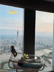 -圣贝拉母婴护理中心(广州瑰丽店)