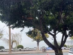 -野菌皇海景野生菌火锅(滨海大道店)