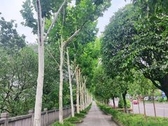-重庆彩云湖湿地公园