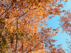 -春晖园度假酒店温泉