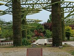 -武清南湖绿博园