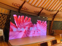 -九十九顶毡房(阜石路店)