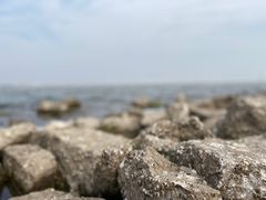 -碧海金沙