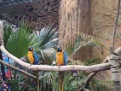 -杭州开元森泊度假乐园