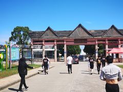 -碧海金沙