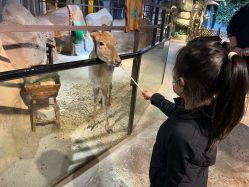 点击看大图 -酷嗒动物文化乐园(cutezoo西溪乐天城店)