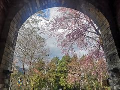 -天龙八部武侠城