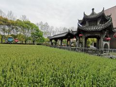 -证大喜玛拉雅中心