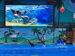 -石家庄极地海洋世界