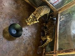 -长鹿旅游休博园