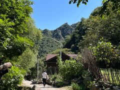 -大岭沟猕猴桃谷风景区