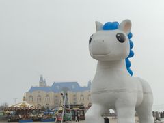 -大连圣亚海洋世界