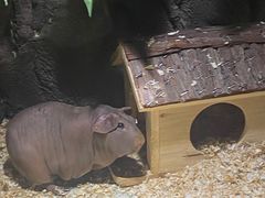 -顺德南宏海立方海洋公园