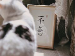 -三仟津花园咖啡馆