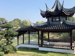 -八大山人梅湖景区