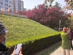 -元大都城垣遗址公园