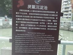 -成都市活水公园