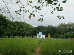 -南沙蒲洲花园