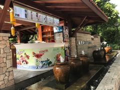 -棕南海水疗会所