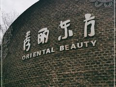 -秀丽东方