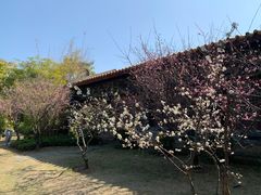 -厦门园林博览苑