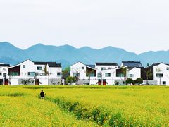 -东梓关景区村庄