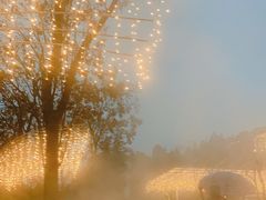 -三江森林温泉度假区