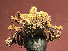 -贵州省博物馆(新馆)