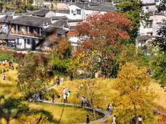 -塔川景区