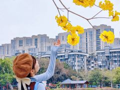 -光明港公园