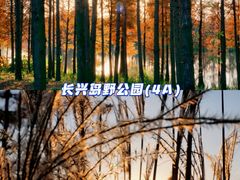 -上海长兴岛郊野公园