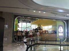 -油梨树AVOCADO TREE(望京店)